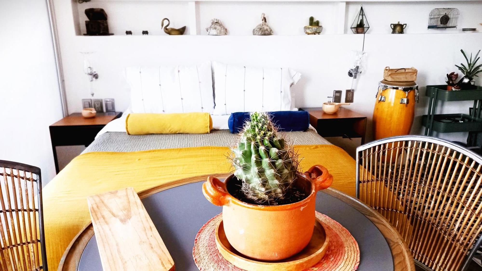 Loft Remedios - Penthouse Cdmx - Areas Comunes Compartidas Mexikóváros Kültér fotó